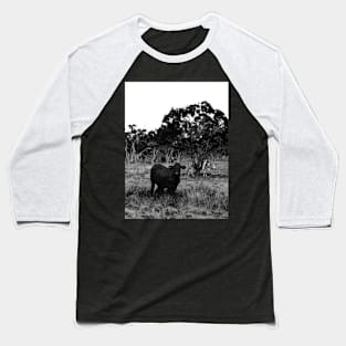 Cattle in the Outback! Baseball T-Shirt